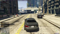 FiveM screenshot