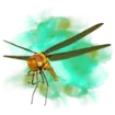 DRAGONFLY plan icon