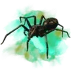 SPIDER plan icon
