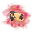 TASER plan icon