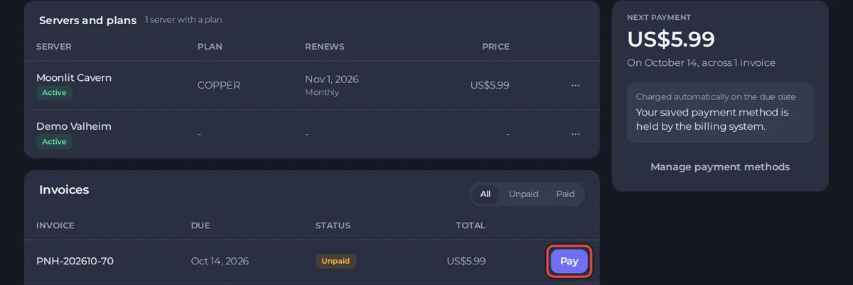 The Billing page with the servers and plans table, the invoices list with a Pay button, and the next payment card