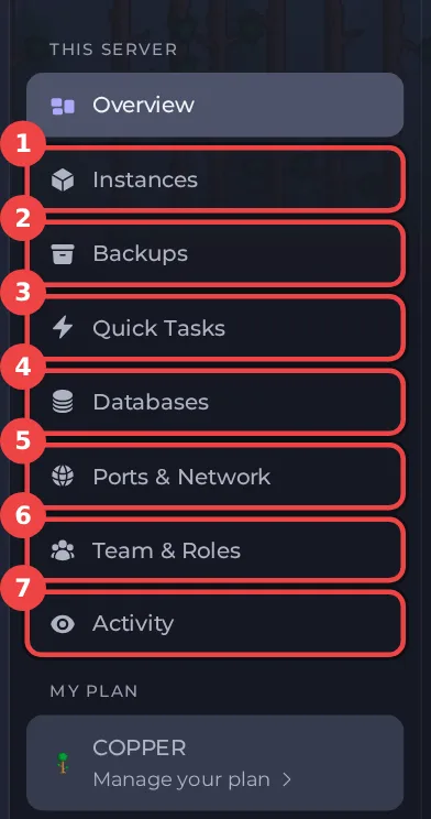 The left menu with Instances, Backups, Quick Tasks, Databases, Ports and Network, Team and Roles and Activity highlighted