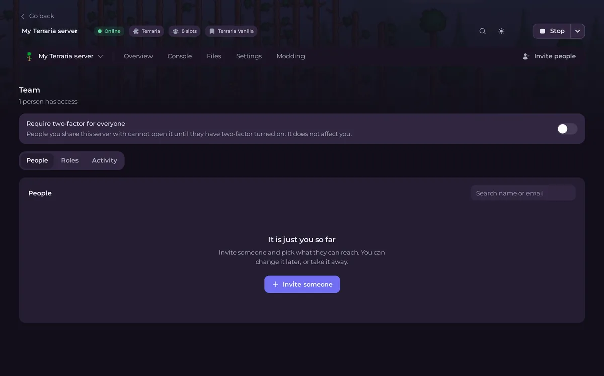The Team and Roles page