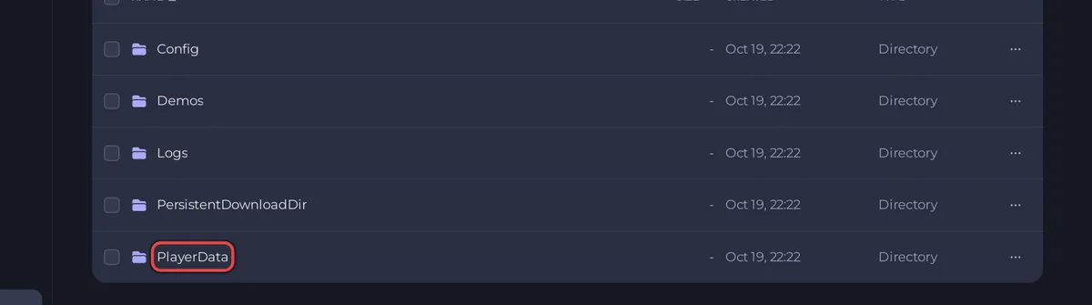 مجلد PlayerData في Files
